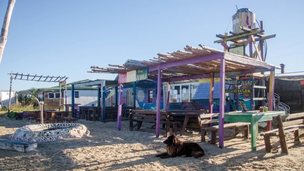 Lobo Hostel Bar Cabo Polonio Luaran gambar